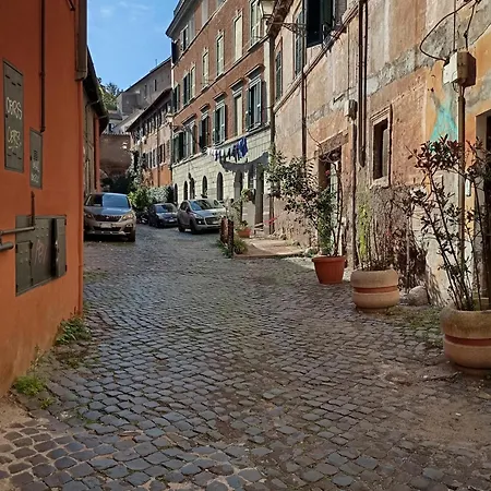 Panieri Cozy Rom