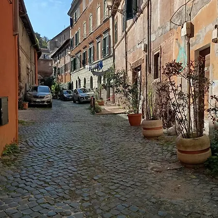 Appartement Panieri Cozy